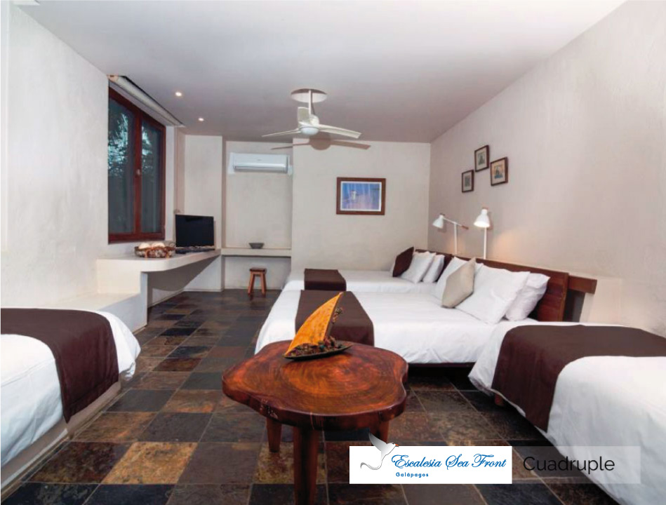 Escalesia Sea Front